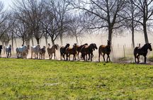4-Day Discovering Buenos Aires
