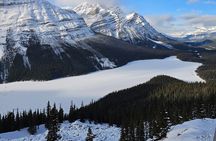 Banff, Icefield Pkwy Full Day Winter Wonderland Private Tour