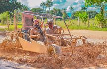 Buggy Ride Into the jungle with cave coffee & chocolate tasting