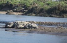 Jeep safari 4×4 (4-5 hrs. Sharing) inside Chitwan National Park.
