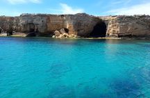 Boat tour with dolphin sighting
