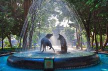 Tour of Xochimilco and Coyoacán, leaving from Mexico City