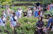 Florence Pizza or Pasta Class with Gelato Making at a Tuscan Farm