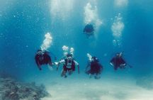 Guided Shore Dive or Refresher Dive
