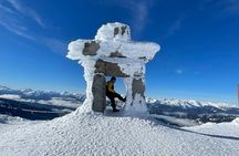 Private Sightseeing Tour Sea to Sky & Whistler 