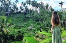 Ubud Tirta Empul Temple with Rice Terrace and Bali Jungle Swing 