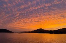 Miyajima Half-Day Private Experience with a Local
