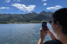 Miyajima Half-Day Private Experience with a Local