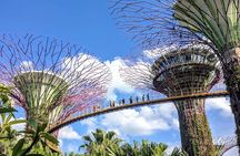Singapore Morning Tour, Gardens by the Bay and Sentosa Transfer