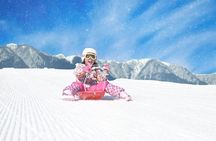 1 Day Tour Traditional Igloo Kamakura Festival and Snow Fun
