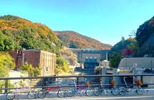 Slow Cycling Tour at Uji's Matcha Green Tea Fields and Heritage
