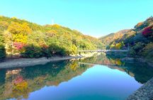 Slow Cycling Tour at Uji's Matcha Green Tea Fields and Heritage