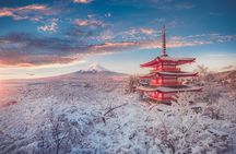 Mount Fuji Sightseeing Private tour w English speaking chauffeur