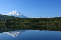 Mt Fuji Customizable Private Tour English Speaking Driver Pick-up
