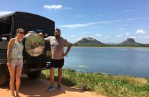 Sigiriya Rock Tour & Minneriya Halfday Safari Tour Sri Lanka