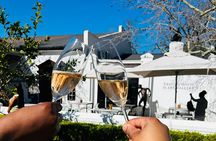 Wine Tour at Stellenbosch, Franschhoek, and Paarl