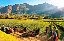 Wine Tour at Stellenbosch, Franschhoek, and Paarl