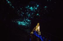 Waitomo Glow Worm Caves & Te Puia (Rotorua) Private Tour