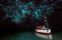 Hobbiton Movie Set & Waitomo Glow Worm Caves Private Tour