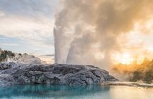 Waitomo Glow Worm Caves & Te Puia - Rotorua's Geothermal Valley