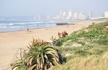 Durban Shore Excursion: Private Small Group Durban City & Phezulu