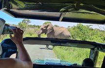Richards Bay Shore Excursion: Private Small Group Hluhluwe Safari