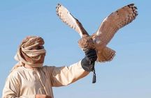 Desert Safari Dubai Sand Bashing, Camel Ride, Shows, Live BBQ