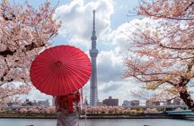 Tokyo Private Sightseeing Tour with English Speaking Chauffeur