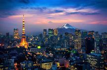 Tokyo Private Sightseeing Tour with English Speaking Chauffeur