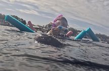  VIP Guided Swim with Manatee Tour Crystal River FL Free Photos