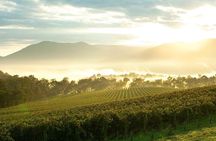 Melbourne Yarra Valley Wineries Explore Private Tour