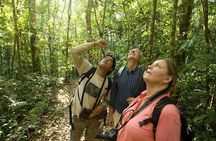  Waterfall, rainforest and Coffee/Chocolate Tour