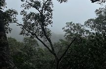  Waterfall, rainforest and Coffee/Chocolate Tour