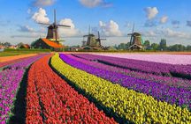 Best of Netherlands: Zaanse Schans Mills, The Hague & Rotterdam