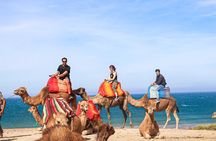 From Tangier: Cap Spartel and Hercules Cave with Camel Ride