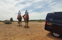 From Tangier: Cap Spartel and Hercules Cave with Camel Ride