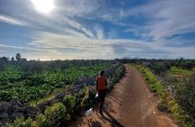 Lecce : 3 hours Hike in Leuca. Trek at the Tip of Puglia