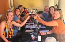 Painted Ladies Wine Country Tour