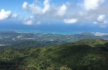 El Yunque Private Bus Tour 