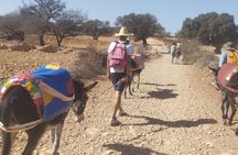 Excursion à dos d’âne : nature, villages et patrimoine