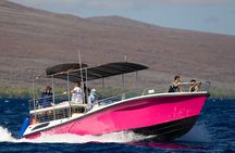 2 Hour Afternoon Lahaina Whale Watch 
