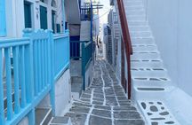Mykonos Sightseeing Half-Day Private Tour