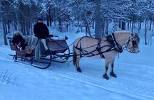 Sleigh or wagon ride in the arctic Country side 