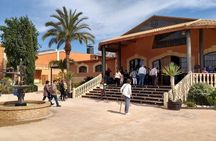 Alicante: Old Winery with Tastings & Gaudí's style of Church