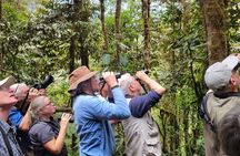 Mindo Cloud Forest Day Trip from Quito