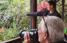 Mindo Cloud Forest Day Trip from Quito