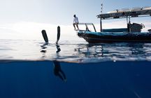 Private Kealakekua Bay Snorkel with Dolphin Watch