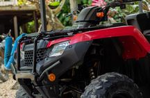 Rent ATV Honda 420cc in Santa Teresa: Discover Beaches and Trails