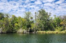 Afternoon Crystal River Ecological Boat Tour