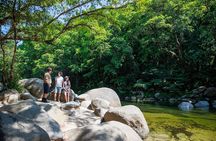 Daintree Rainforest and Cape Tribulation Day Tour from Cairns